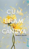 Cum eram candva - Amber Smith - Grupul Art