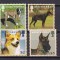 Montserrat 2006 fauna caini MI 1330-1333 MNH