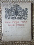 DESPRE SFINTELE POSTURI ALE BISERICII ORTODOXE - PREOTUL STELIAN ZIDARESCU