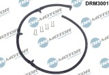 Furtun,Supracurgere Combustibil 247225 DRM3001