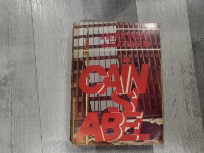 Cain si Abel de Jeffrey Archer foto