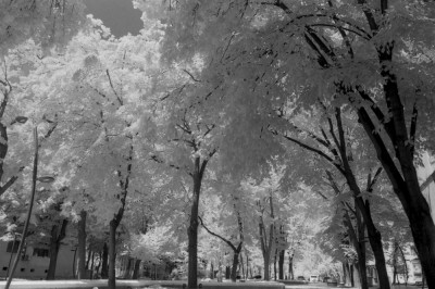 Minolta MD 28mm/3,5 foto