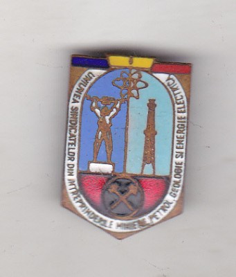 bnk ins Insigna Uniunea Sindicatelor din Intreprinderile miniere , petrol etc foto