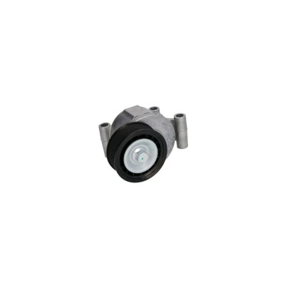 Intinzator curea MAZDA 3 BK DAYCO APV2792 foto