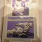 Magazin Istoric - Anul XVIII, Nr. 12 ( 213 ) Decembrie 1984
