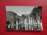 CARTE POSTALA - RPR - LACUL ROSU - VEDERE ( indoita )