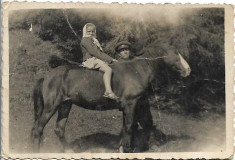 C216 Fotografie 1956 cal militar roman copil poza romaneasca RPR foto