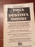 YOGA SI DESTINUL NOSTRU Elisse Kraft