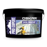 Vopsea lavabila Pro Expert Sol Silicat 15 L