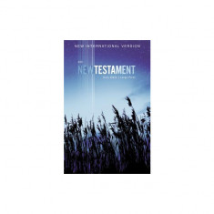 NIV, Outreach New Testament, Large Print, Paperback