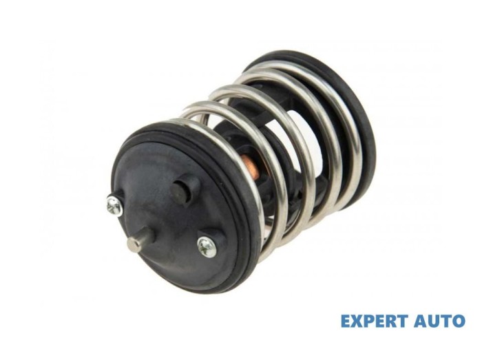 Termostat BMW X1 (2009-&gt;) [E84]) [F20] #1