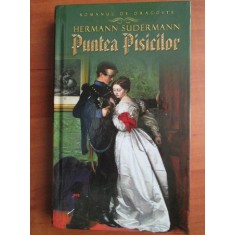 Hermann Sudermann - Puntea pisicilor (2012, editie cartonata)