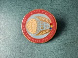 Insigna Batalionul 500 Misiuni Speciale Buzau aniversara 10 ani Parasutism Romania militar Indraznetii Inving