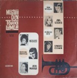Disc Vinil LP Melodii din Toata Lumea VIII Electrecord 1971 Muzica Populara 33 RPM 30cm Colectiv Stasera Mi Butto Abschied Von Der Liebe