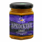 ApiCocktail&reg; LINIA 1 - mix apicol by Dr. Ing. Cornelia Dostetan Abalaru