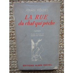 LA RUE DU CHAT QUI P&Ecirc;CHE - JOLAN FOLDES