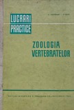 Zoologia vertebratelor. Lucrari practice - 1966 - Z. Matic (@A222), Didactica si Pedagogica