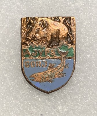 insigna AJVPS Gorj foto