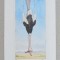 Bob Farndon &quot;Geronimo&quot; gravura colorata manual 1998