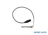 Senzor temperatura gaze dpf Fiat Fiorino (2007-&gt;) [225] #1, Array