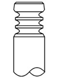 Intake valve (38.15x8x146mm) fits: DEUTZ fits: RVI MIDLUM. PREMIUM 2; VOLVO 8700. 8900. B6. B7. FE. FE II. FL II. FL III. ABG; DEUTZ FAHR AGROTRON X D