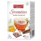 ROOIBOS&amp;VANILIE 4GR*20DZ EVOLET SENSATION