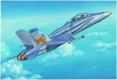 1:48 FA -18D &amp;quot;Hornet&amp;quot; 1:48 foto