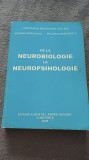 Constantin Balaceanu-Stolnici - De la neurobiologie la neuropsihologie Editie academica