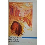 Ionel Pop - Instantanee din viata animalelor (Editia: 1968)