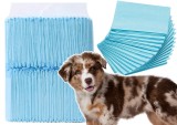 Set covorase absorbante igienice pentru animale, 60 x 60 cm, 40 bucati, Lean 20758
