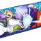 Penar Dragon Ball pentru scoala, 1 fermoar - RESIGILAT