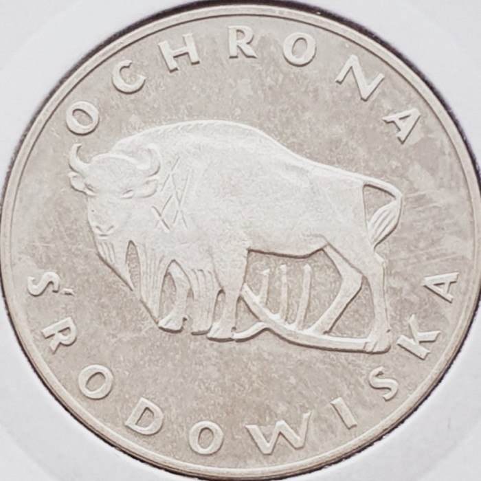 614 Polonia 100 zlote 1977 Environmental Protection - Buffalo km 87 argint