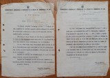 Angajare manipulant principal silozuri Constanta// lot doua documente 1939