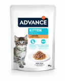 Cumpara ieftin Advance Cat Wet Kitten Pui, 85 g