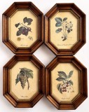 Set 4 tablori octogonale cu reproduceri dupa picturi din atlas botanic (fructe), 18x23cm