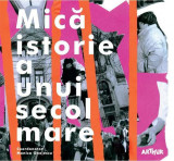 Mică istorie a unui secol mare - Paperback brosat - Monica Onojescu - Arthur