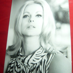 Fotografie - Actrita Virna Lisi 1967 in Filmul Evident ,trisez ,dim.= 17x23cm