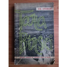 Gh. Epuran - Tara Birsei