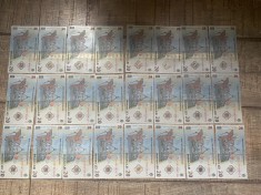 Bancnote 20 de lei Ecaterina Teodoroiu (24 buc)