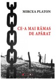 Mircea PLATON - Ce-a mai rămas de apărat (NOUĂ)