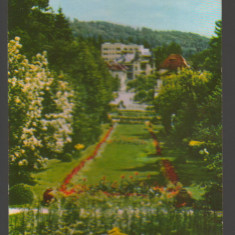 CPIB 19229 CARTE POSTALA - GOVORA VEDERE DIN PARC, RPR