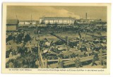 4359 - BRAILA, Market, and harbor, Romania - old postcard - unused, Necirculata, Printata