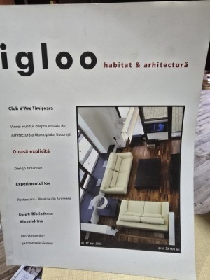 Revista Igloo nr. 17/2003 foto