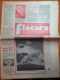 Flacara 2 aprilie 1981-art. pitesti,curtea de arges,interviu nichita stanescu