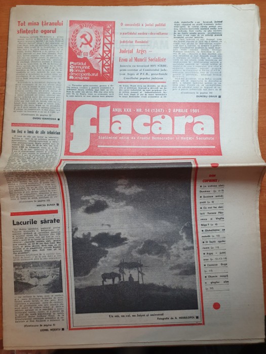 flacara 2 aprilie 1981-art. pitesti,curtea de arges,interviu nichita stanescu