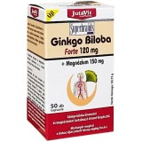 Gingko Biloba 120mg + Magneziu 150mg 50cps