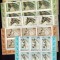 Romania 2010 Cai de rasa Blocuri de 6 timbre MNH Serie completa LP 1866 b
