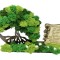 Aranjament cu licheni si Binecuvantarea casei (Verde)