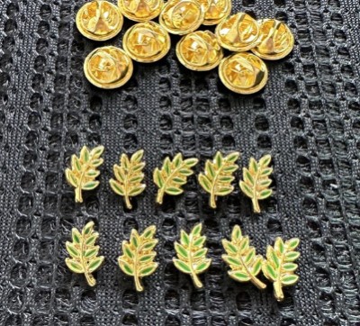 Insigna Francmasonica foto