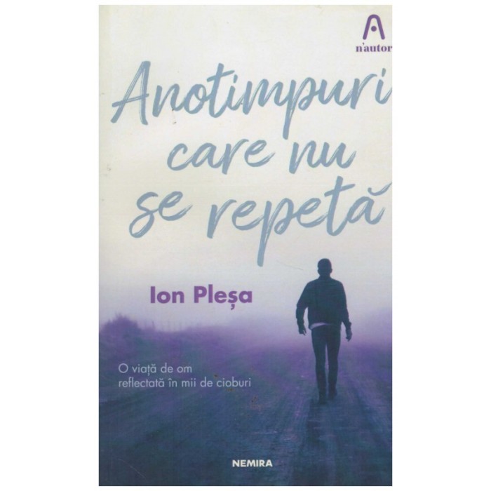 Ion Plesa - Anotimpuri care nu se repeta - 131328